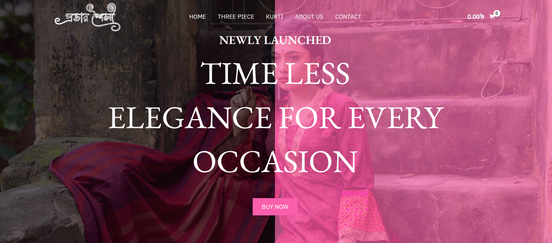 Provar Shoilee website preview